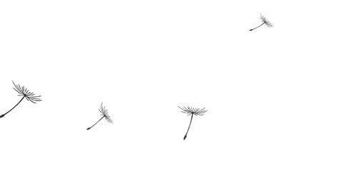图片12.png