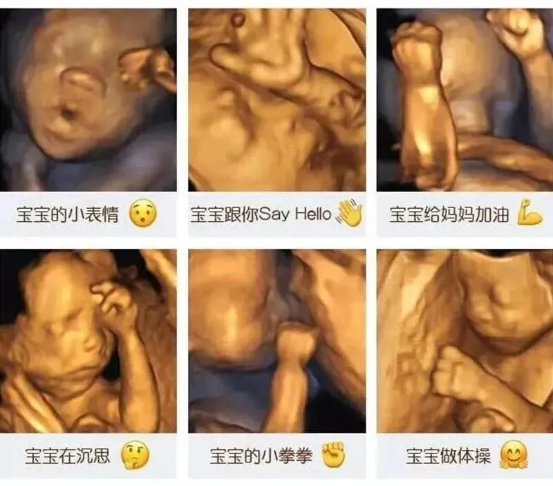 图片15.png